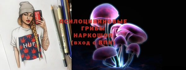дживик Коряжма