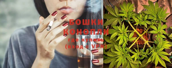 дживик Коряжма