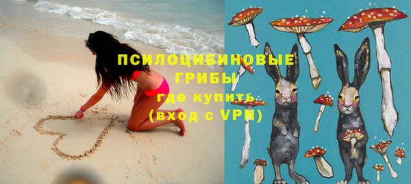ALPHA PVP Костерёво