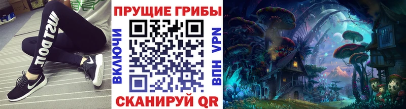OMG рабочий сайт  Михайловка  Галлюциногенные грибы мухоморы 